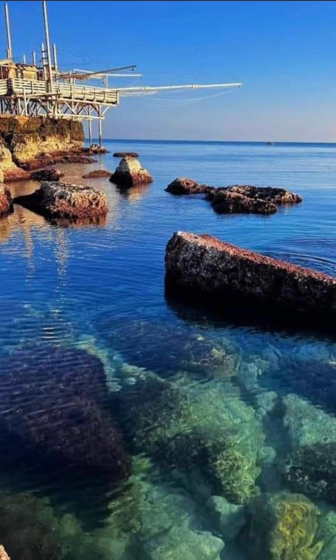 B&B Villa Mediterranee Con Parking Space Trani Exterior foto